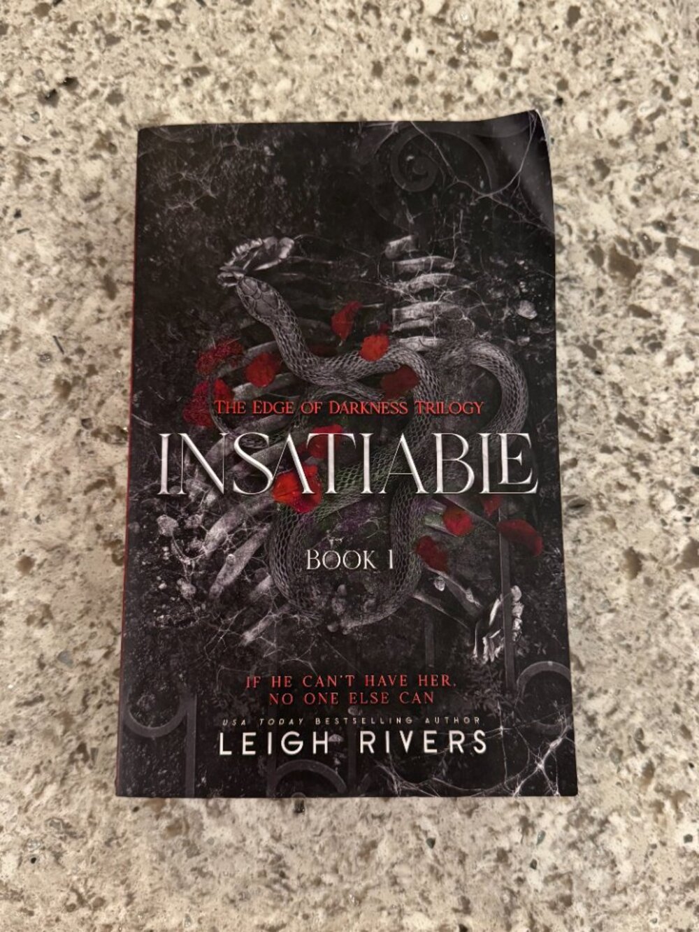 Insatiable (The Edge of Darkness: Book 1) Paperback Dark Romance by Leigh Rivers